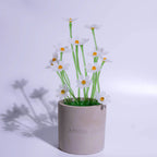 White Liuli Crystal Daisy Bonsai