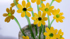 Yellow Liuli Crystal Daisy Bonsai