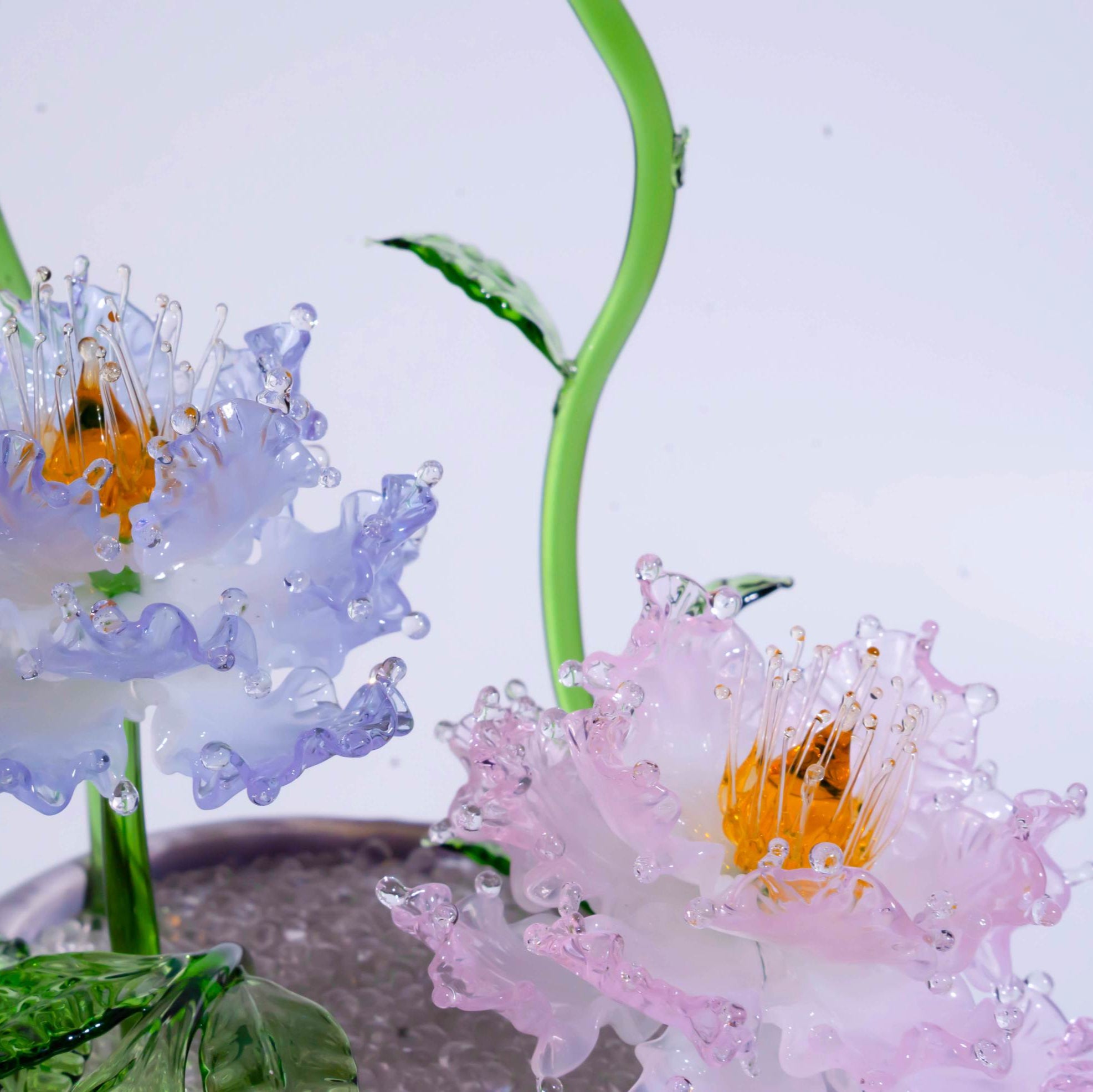 Purple-Pink Liuli Crystal Peony Bonsai