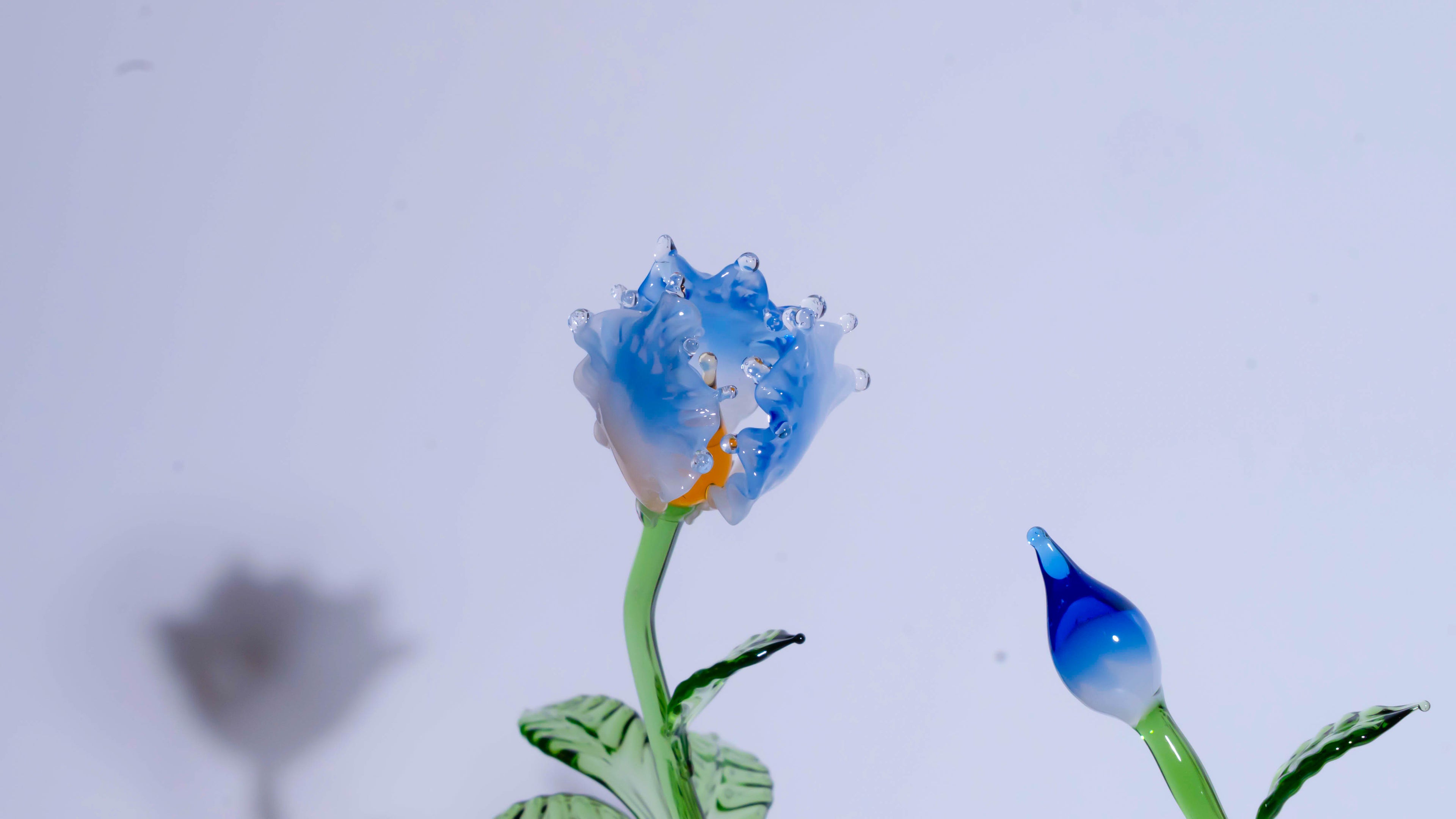 Blue Liuli Crystal Peony Bonsai