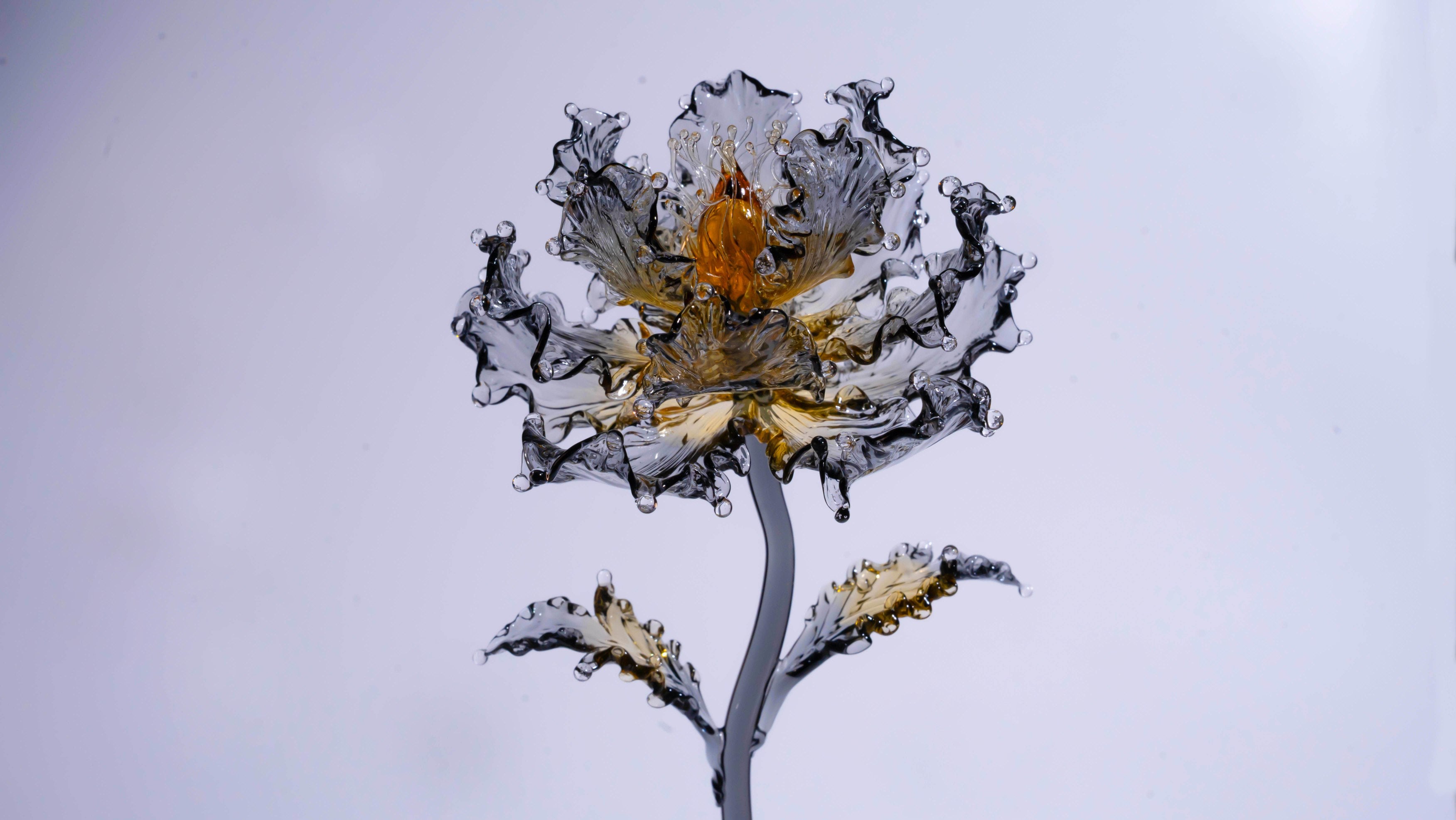 Golden Black Liuli Crystal Peony