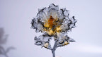 Golden Black Liuli Crystal Peony