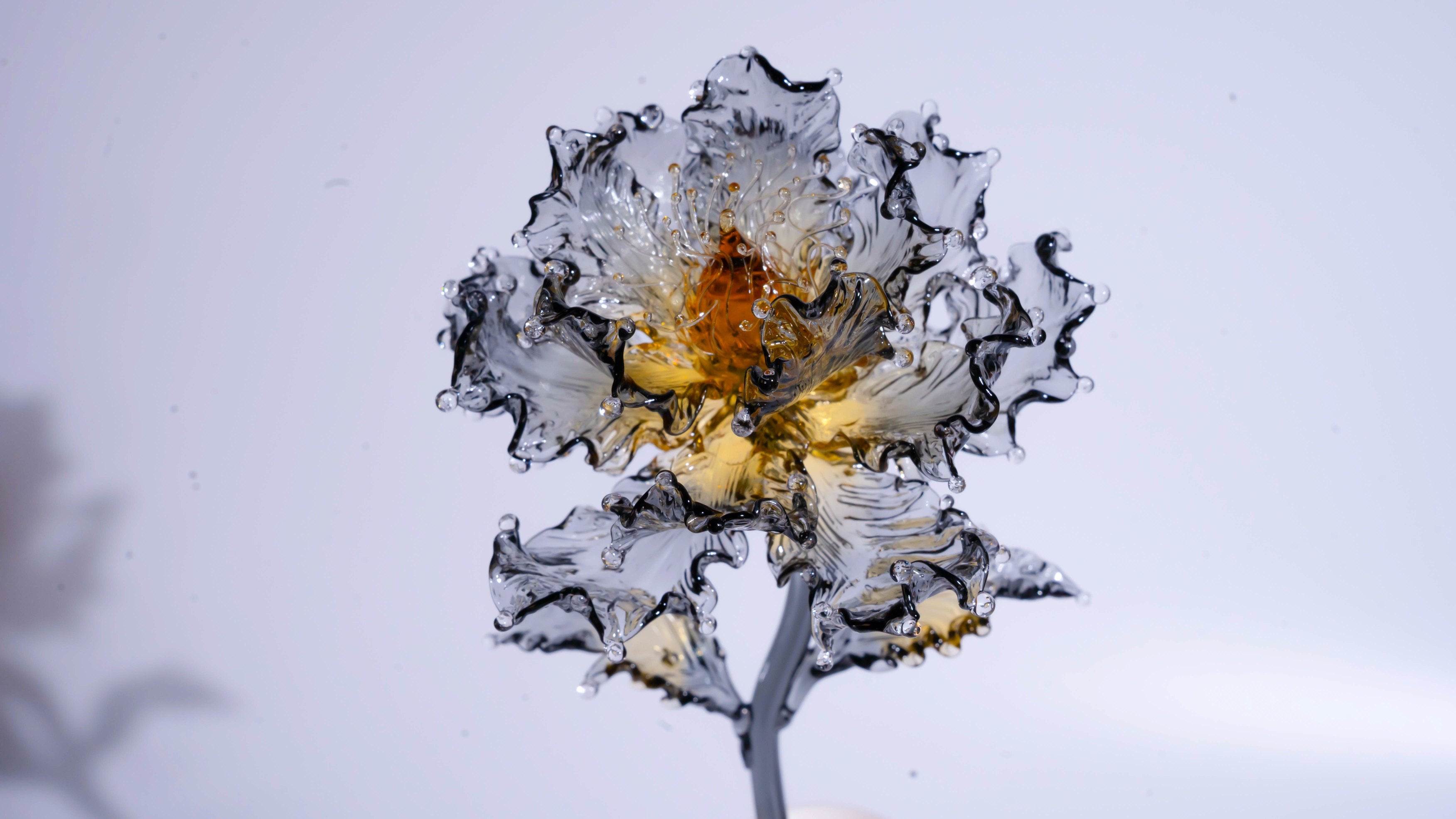 Golden Black Liuli Crystal Peony