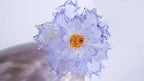 Blue Liuli Crystal Peony - New Arrival