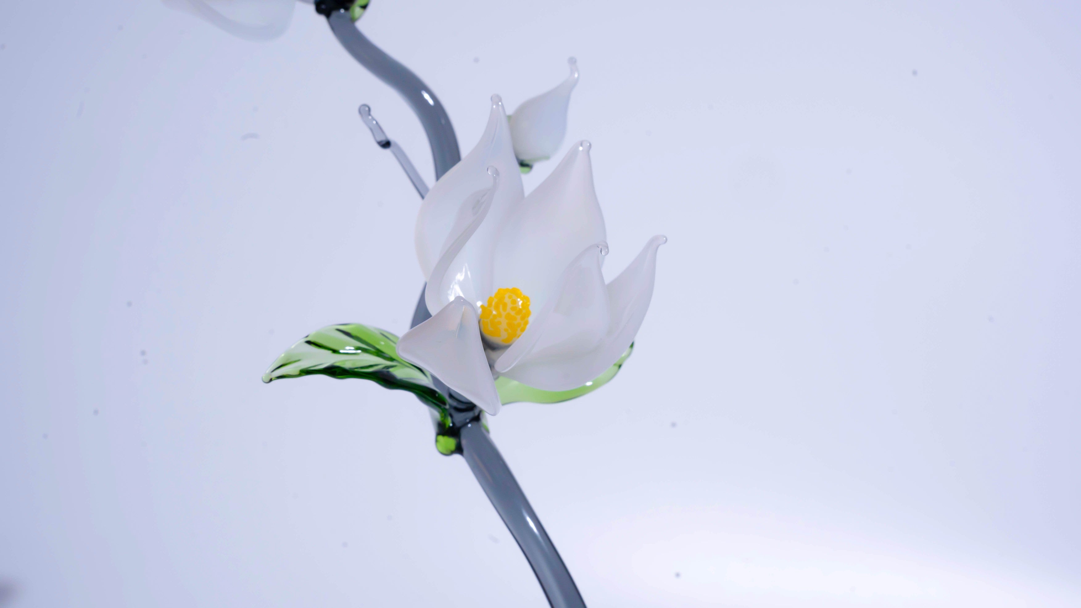 White LiuLi Crystal Orchid