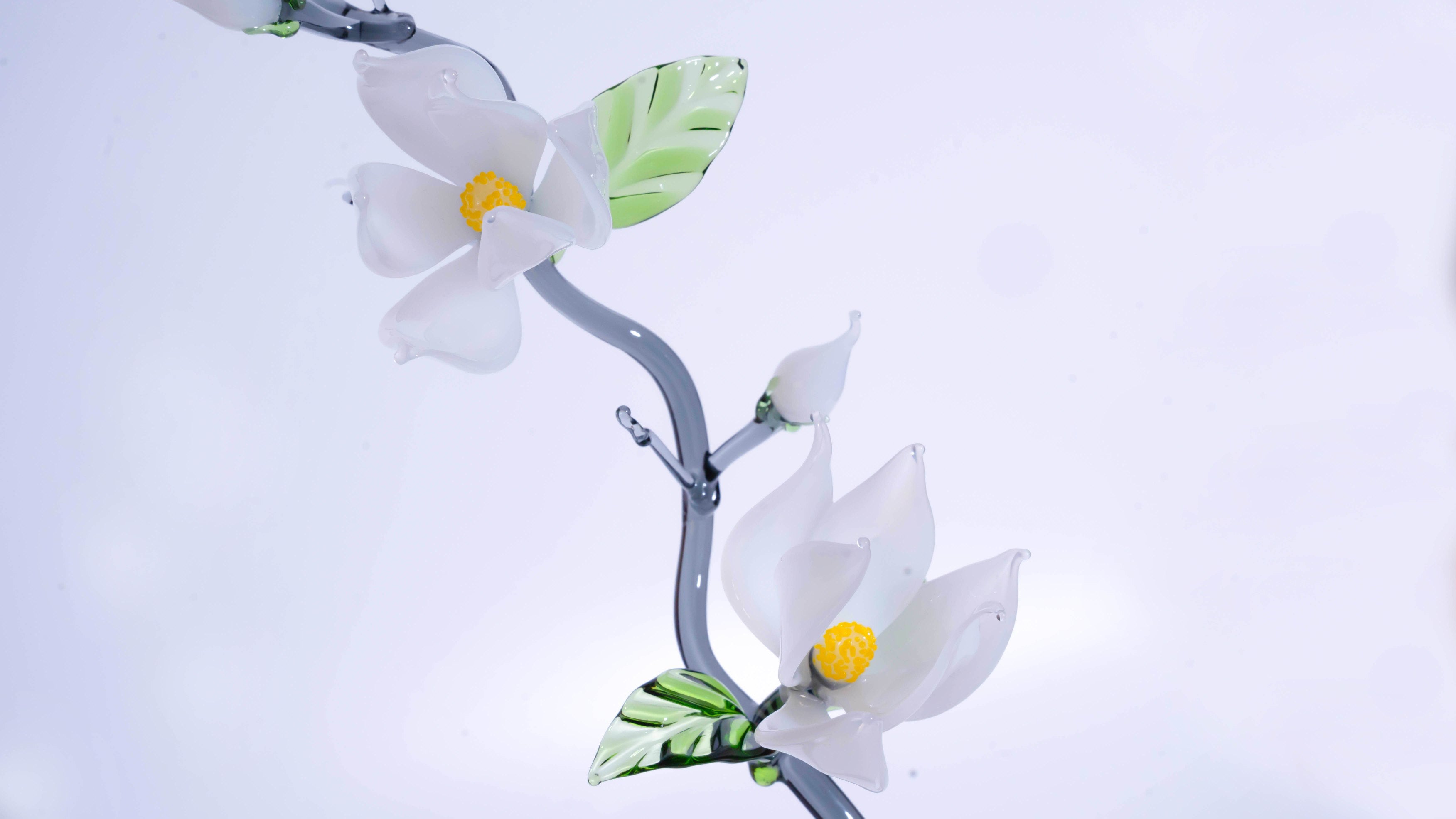 White LiuLi Crystal Orchid
