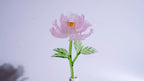 Pink Liuli Crystal Peony