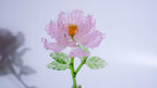 Pink Liuli Crystal Peony