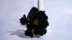 Black Liuli Crystal Peony