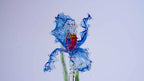 Red Liuli Crystal Iris