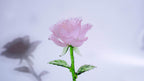 Pink LiuLi Crystal Rose