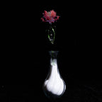 Red LiuLi Crystal Poppy